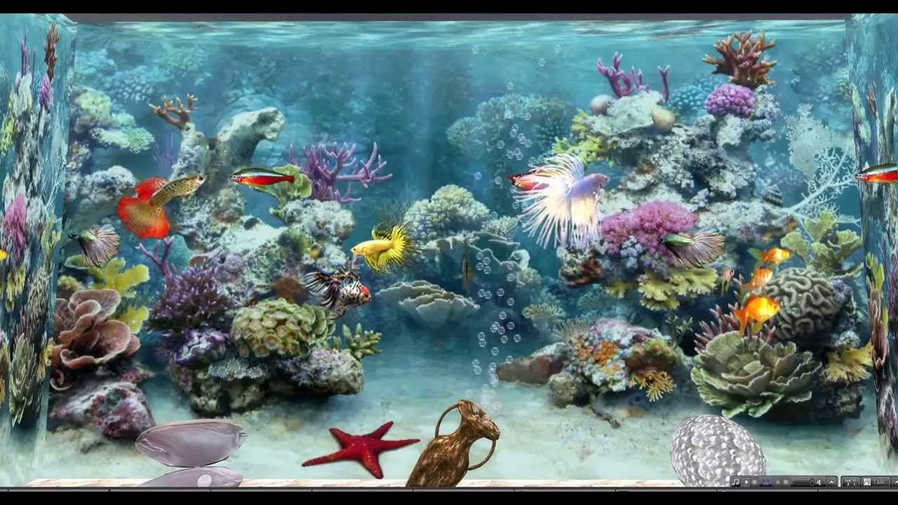 Fonds Décran Hd Fond Décran Poisson Animé