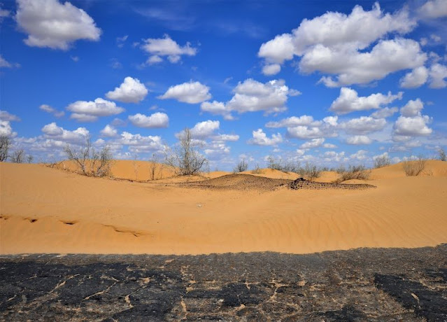 deserto Kyzylkum Uzbekistan