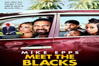 Meet the Blacks (2016) 