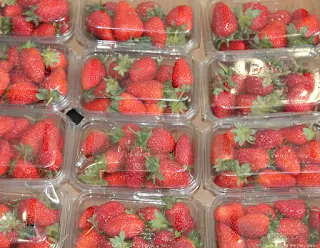 strawberry packing