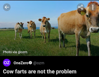 cow farts not the problem