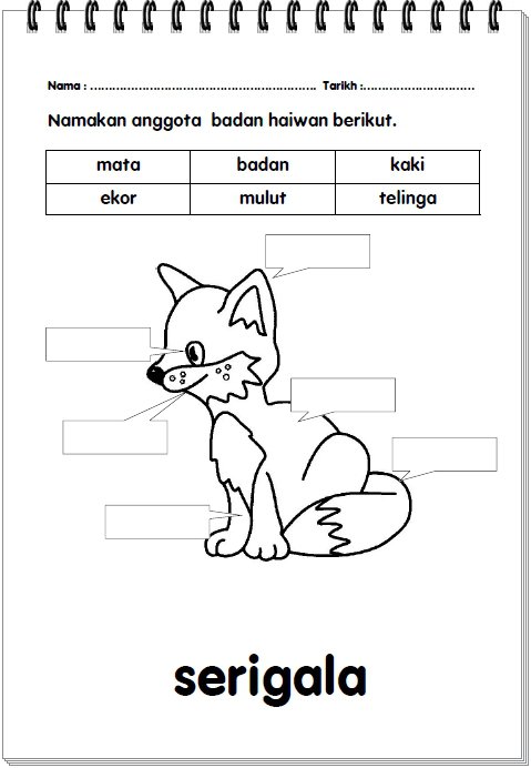 DUNIA SAINS & TEKNOLOGI TAHUN 1: Lembaran kerja