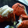 How To Boil Lobster Tail / How to Boil Lobsters: 12 Steps (with Pictures) - wikiHow : To boil 4 lobster tails, bring 6 cups of water with 1.5 tsp of salt to a boil in a large pot.
