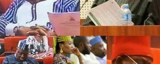 NIGERIA ECONOMY CAN'T TAKE CARE  OF SENATORS ANY LONGER; See Senators Annual Pay World Wide