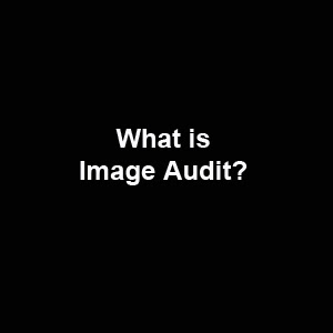 What is image audit?