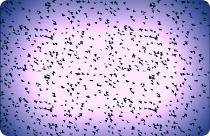 migratingbirds-1-1