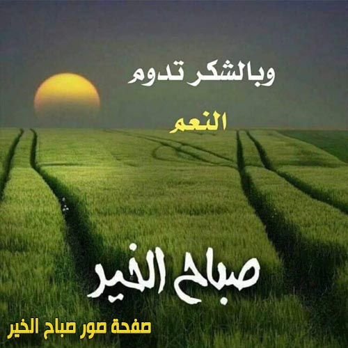 صور صباح الخير