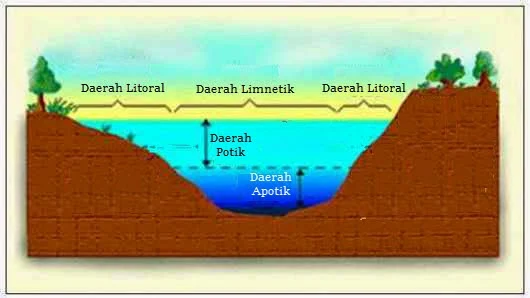 ekosistem danau