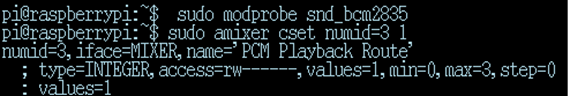 sudo amixer cset numid=3 1 