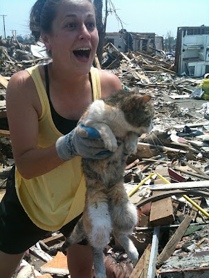 Lavem, kucing yang berhasil selamat setelah 2 minggu terkubur di reruntuhan rumahnya yang diterjang angin topan
