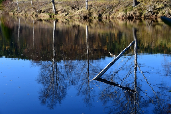 høststemning elva