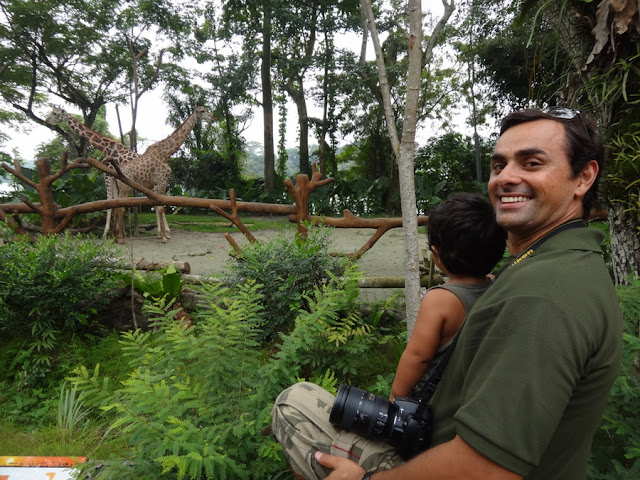 Singapore Zoo