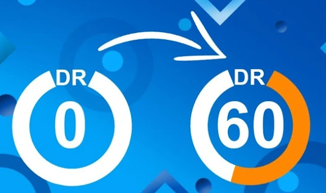 Domain Rating Adalah