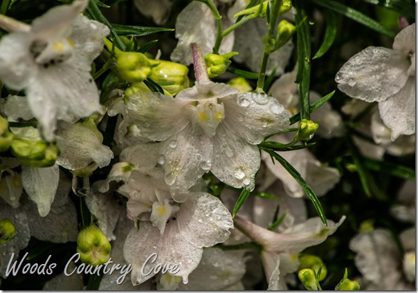 JUNE 2016 (22 of 33)
