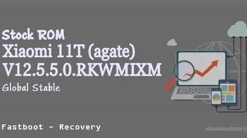 Xiaomi 11T (agate) V12.5.5.0.RKWMIXM Global Stable