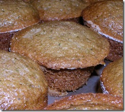Zucchini Muffins