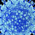 Έξαρση της γρίπης των χοίρων στη Ρωσία