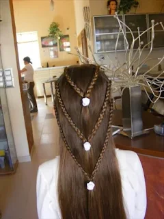 Para pelo liso con trenzas y flores.