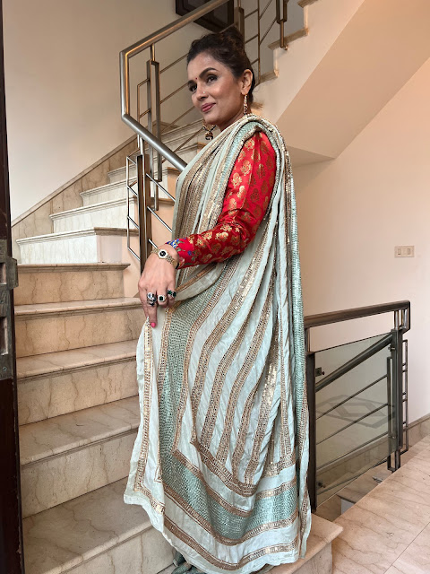 hand embroidered sequin saree on pure French chiffon