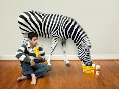 Creative Photo Manipulations