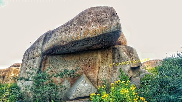 Gudekote Bear Sanctuary Karnataka