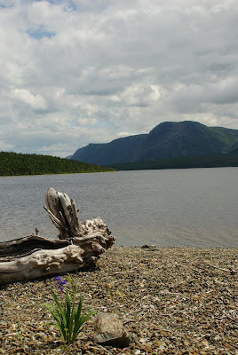 Trout River Pond