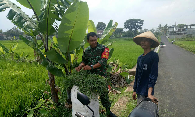 KodimKaranganyar - Demi Kesejahteraan Babinsa Sambangi Warga Binaannya