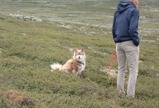 Tinn-Valdres-Sjoa juli 12013