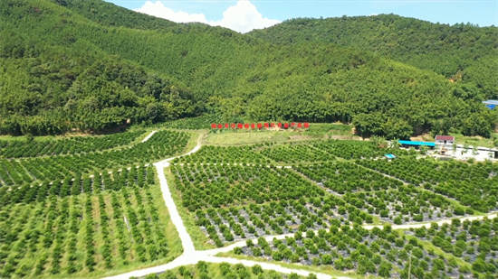 sugar oranges Provincial-level Modern Agricultural Industrial Park