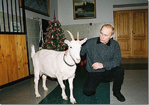 Vladimir Putin e o seu amor pelos animais (6)
