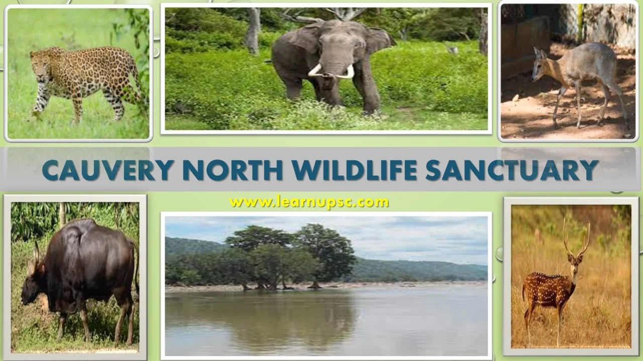 Cauvery North Wildlife Sanctuary