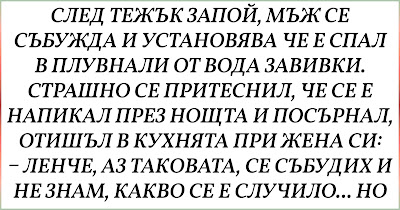 [Главозамайващ ВИЦ] След тежък запой