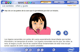 http://ww2.educarchile.cl/UserFiles/P0024/File/skoool/2010/Ciencia/smell_and_taste/
