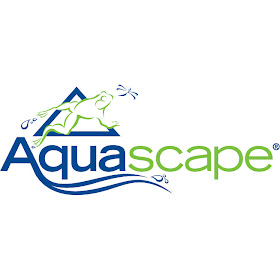 kamus aquascape