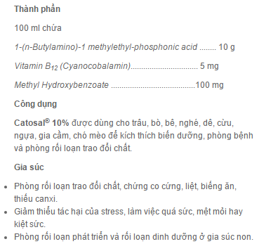 Hướng dẫn điều trị một số bệnh thường gặp ở chó mèo tại nhà