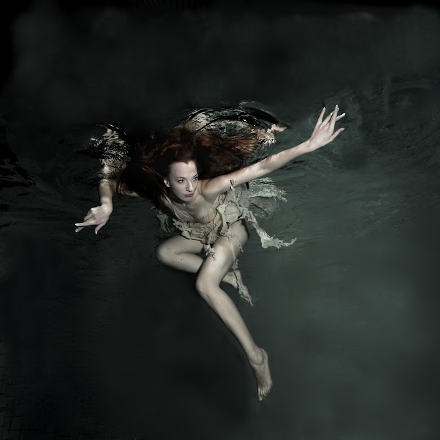 Fallow me to the depths by Gabriele Viertel