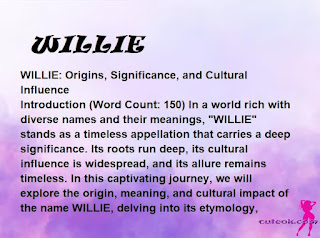 meaning of the name "WILLIE"