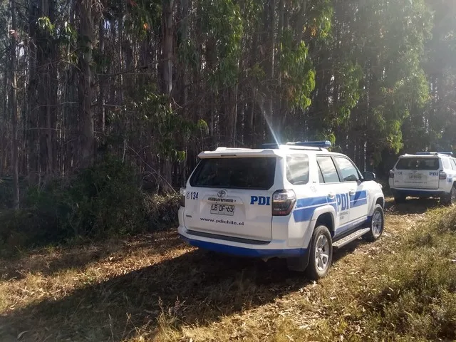 Fatal accidente forestal en Maullín