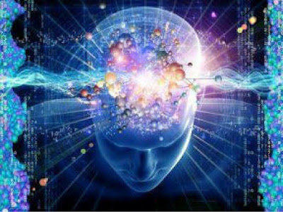 Frequency Brain Waves and how the mind works