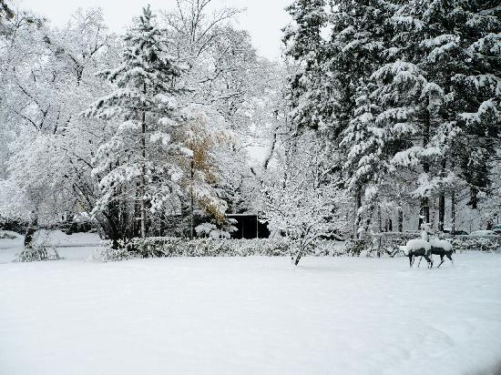 Today is officially the first day of winter. I'm not sure what that makes 