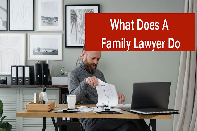 What Does A Family Lawyer Do: Unveiling Their Vital Role