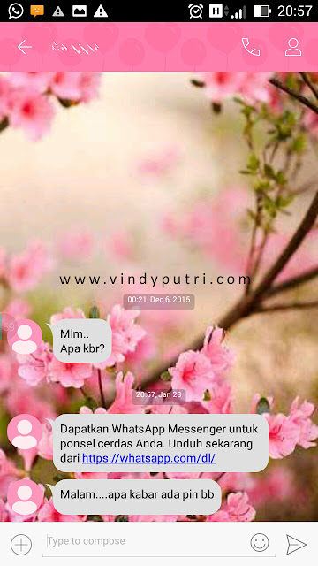 SMS minta pin BB