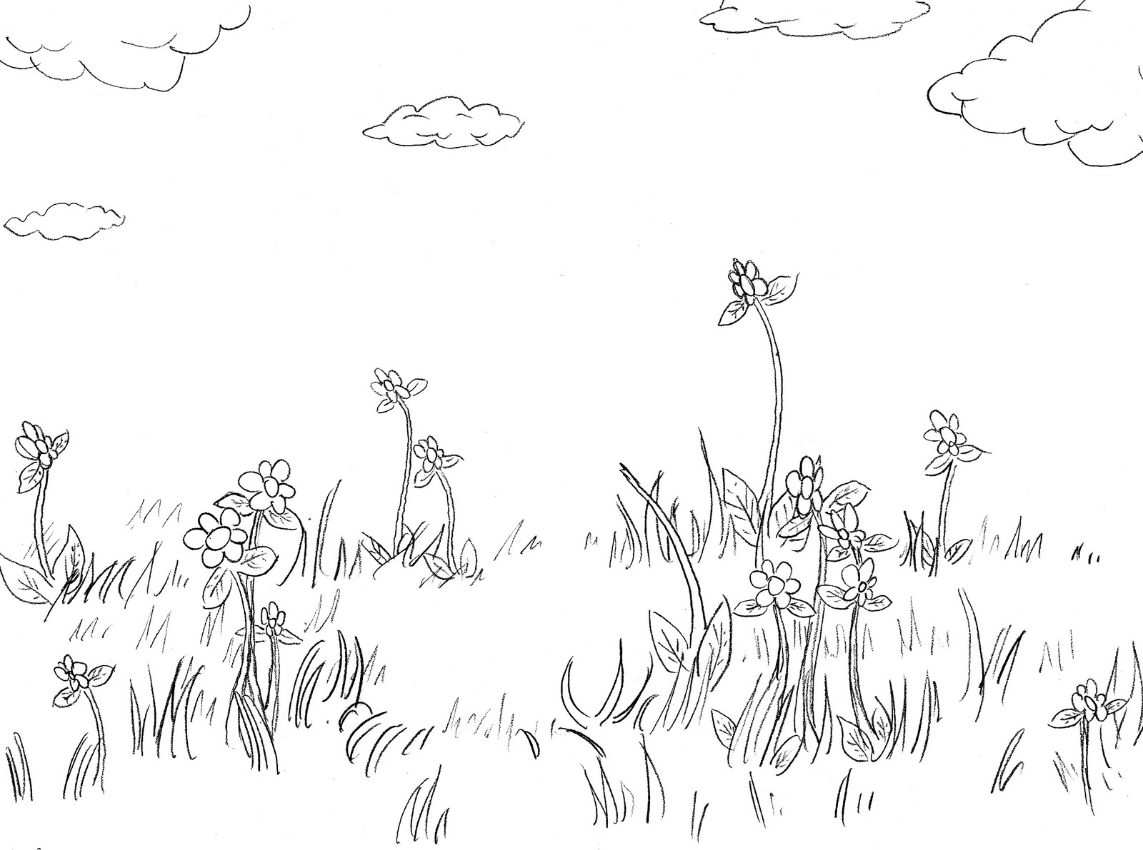Flower Field Flower Field