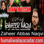 https://www.humaliwalyazadar.com/2018/09/zaheer-abbas-naqvi-nohay-2019.html