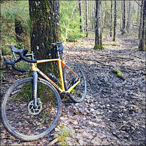 Testar Cyclocross i Skogen