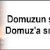 Hindular, domuzun şerrinden "Domuz"a sığınıyorlar