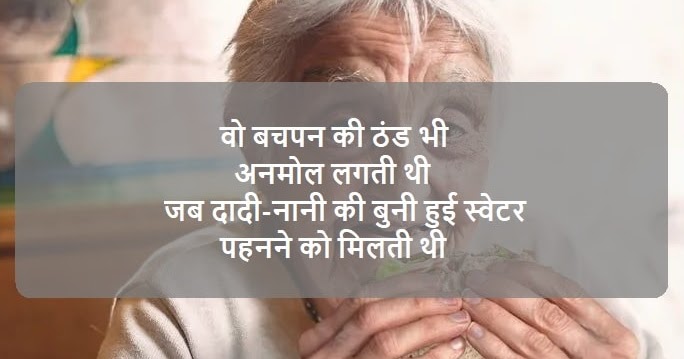 Love You Grandma Status In Hindi And English | Dadi Amma Status - Whatsapp Status In Hindi & English