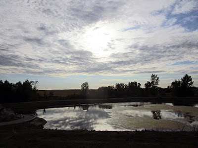 Waldo's Rock pond