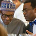 US calls for probe of Akinwumi Adesina over ethics breaches