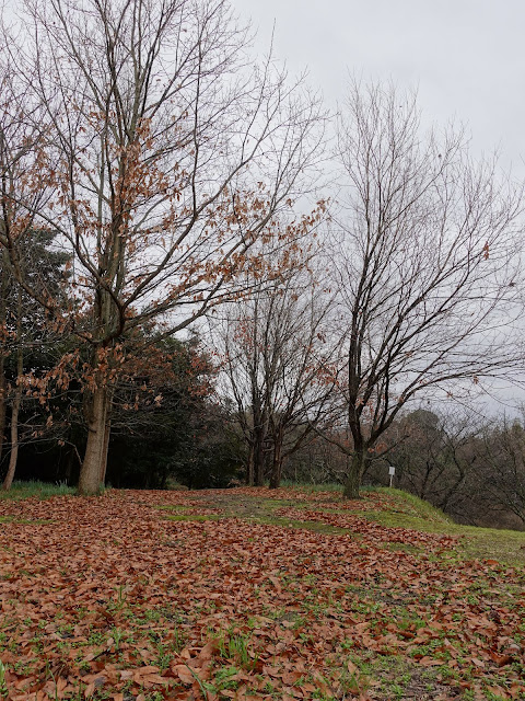 伯耆古代の丘公園